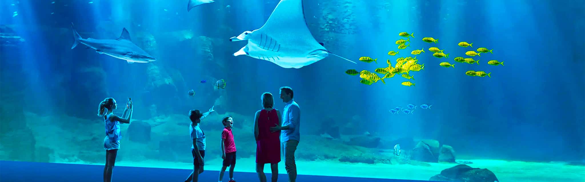 Billet pour l'Aquarium Nausicaá à Boulogne-sur-Mer