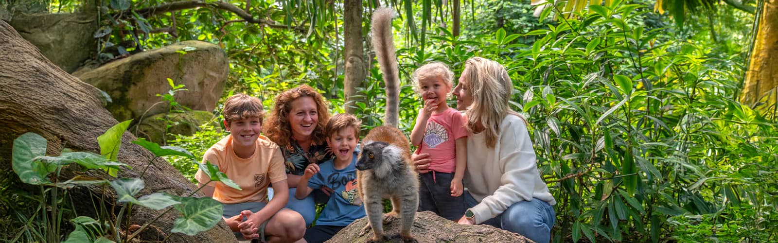 Vivez une aventure inoubliable au Wildlands Adventure Zoo Emmen