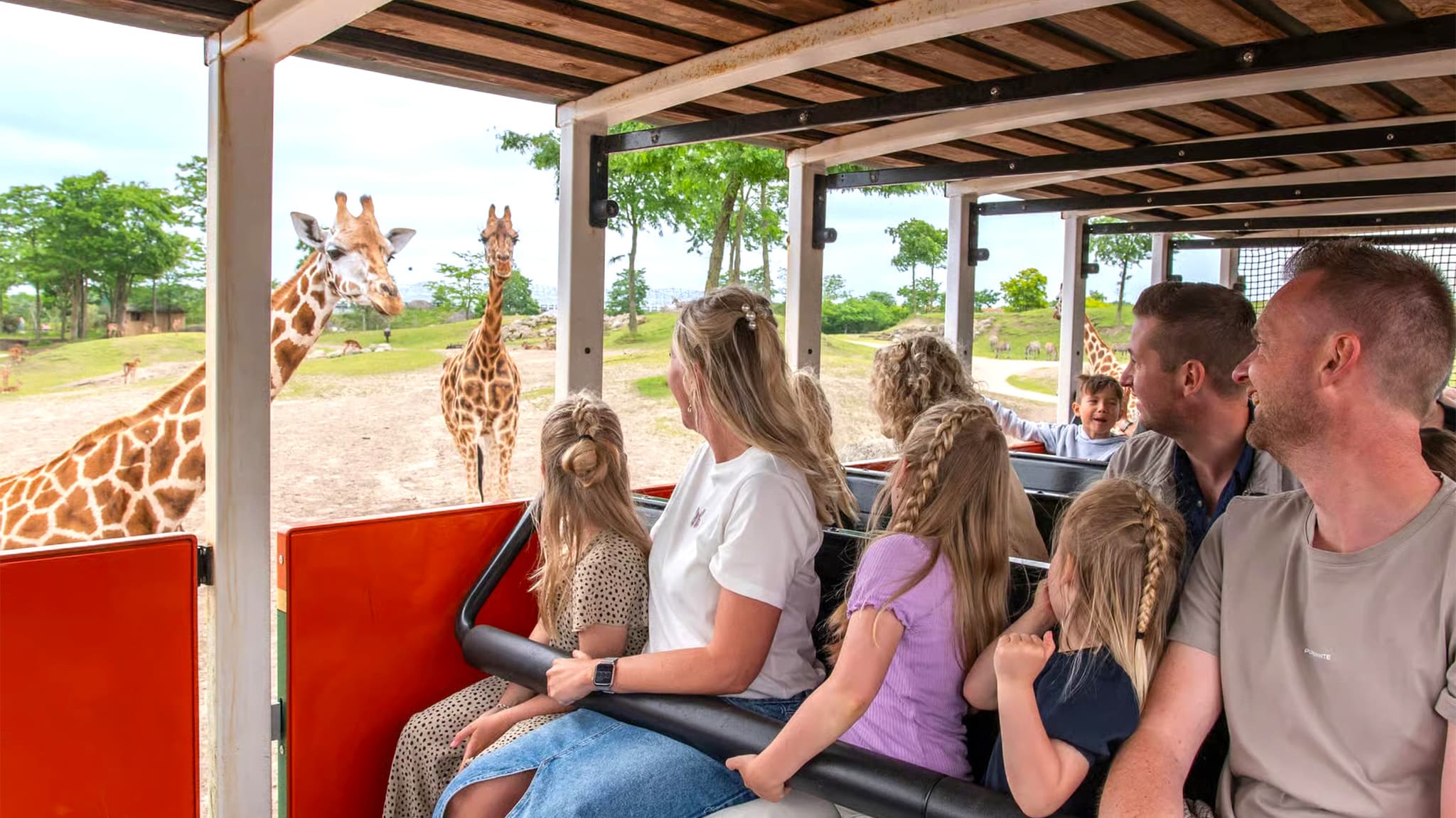 Emmen Zoo – Billets + Séjour à l'Hôtel Inclus foto 2