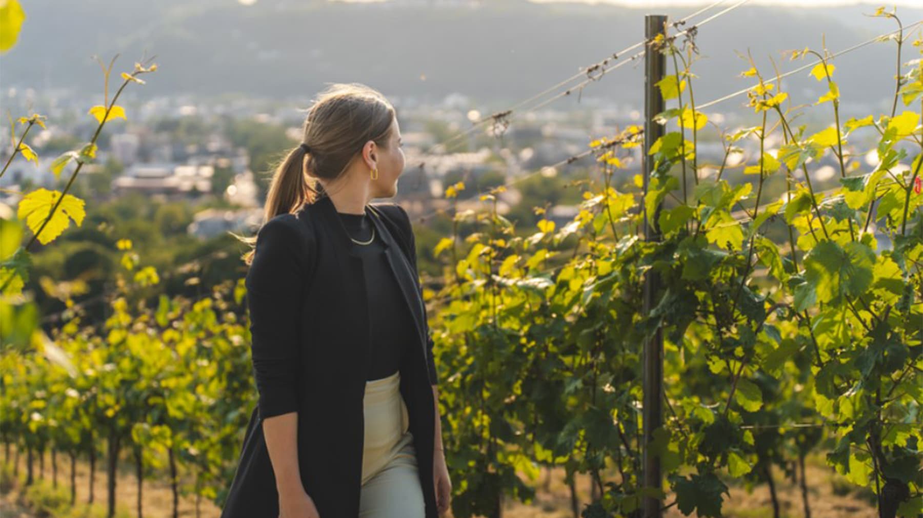 Promenade en ville à Trèves avec dégustation de vin, hôtel et petit-déjeuner foto 1