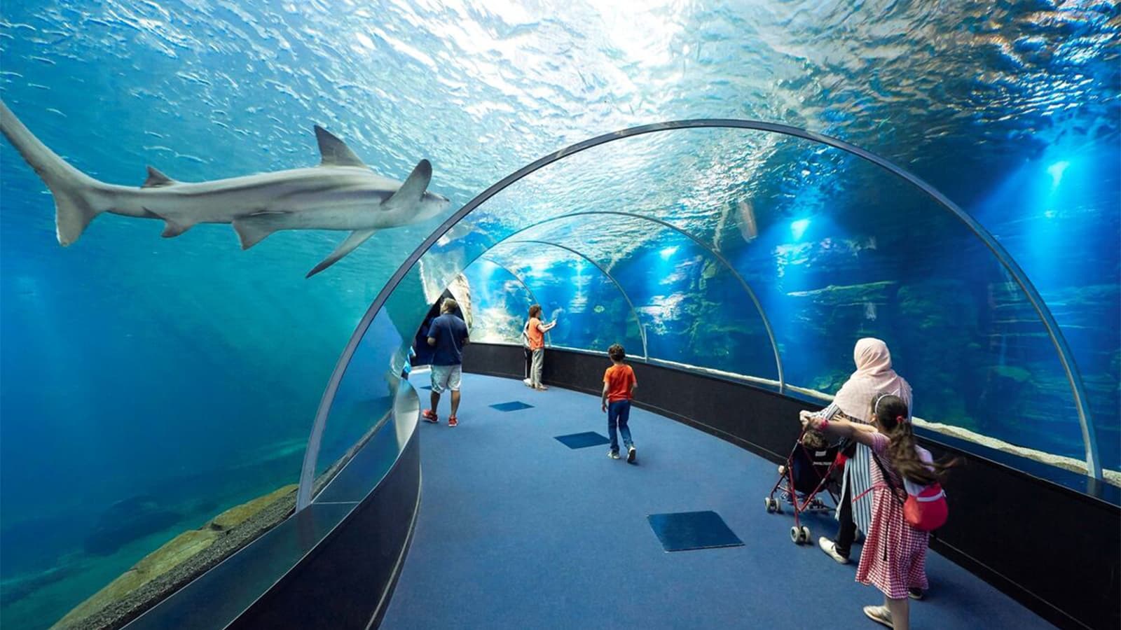 Billet pour l'Aquarium Nausicaá à Boulogne-sur-Mer foto 2