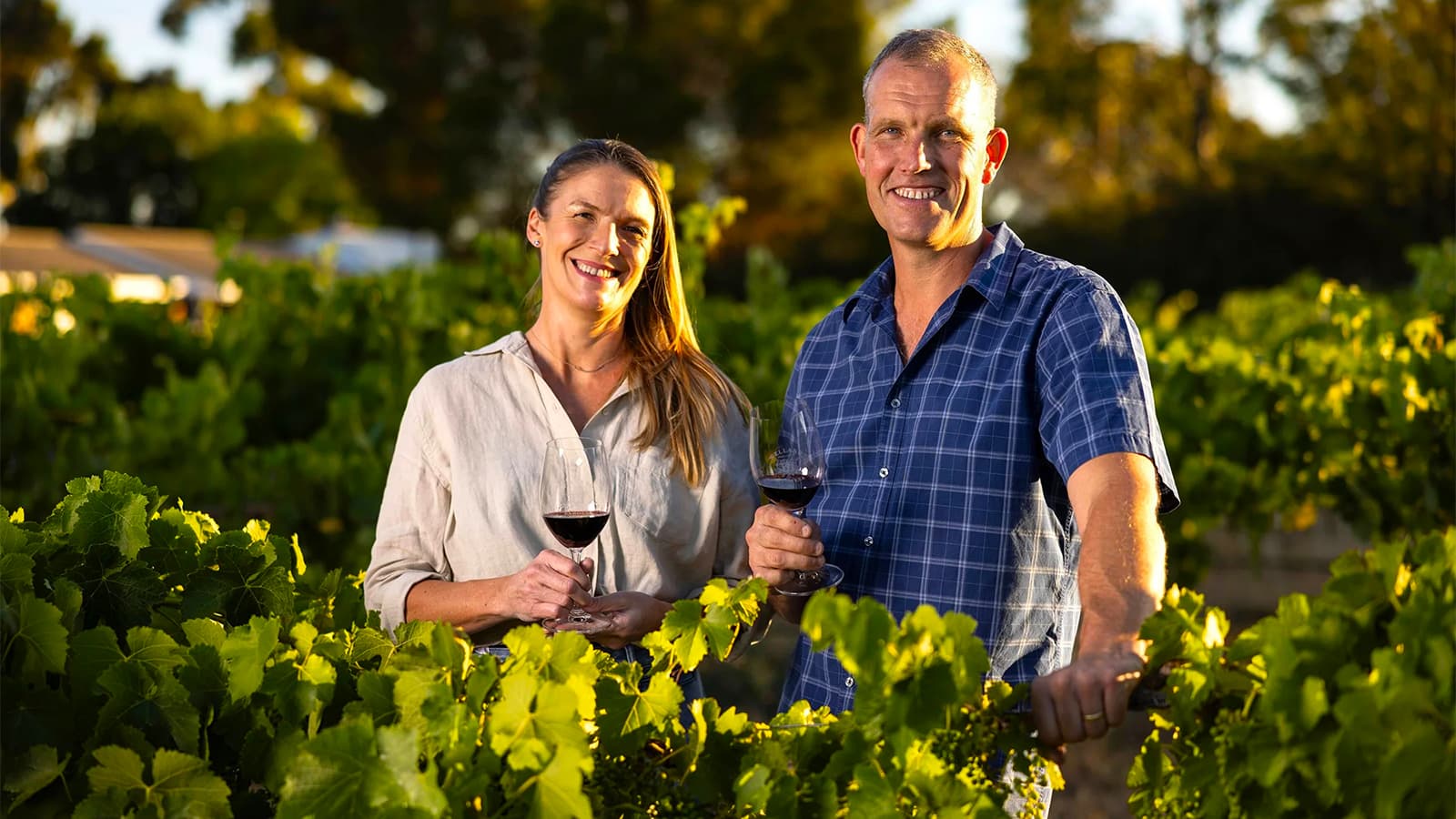 Escapade en ville à Reims avec expérience dans les vignobles de Champagne foto 2